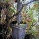 Fotografia przedstawiająca Tombstone of Wiktor Łuszczyński