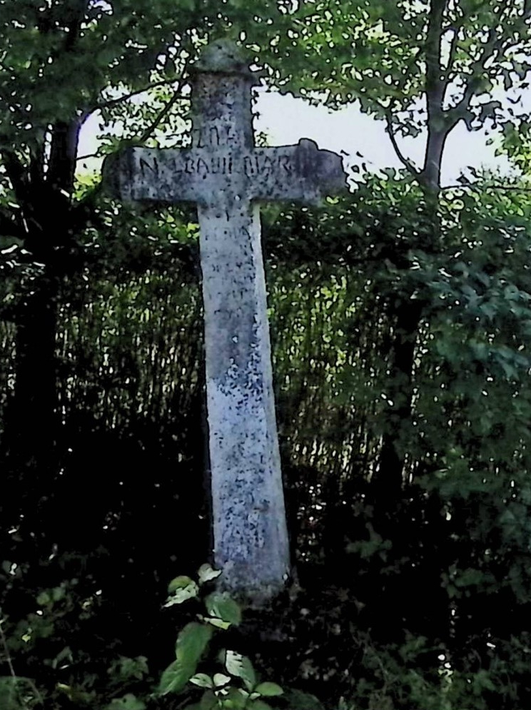 Fotografia przedstawiająca Nagrobek Mikołaja Marcinkowskiego