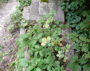 Nagrobek Heleny Szpryncwald