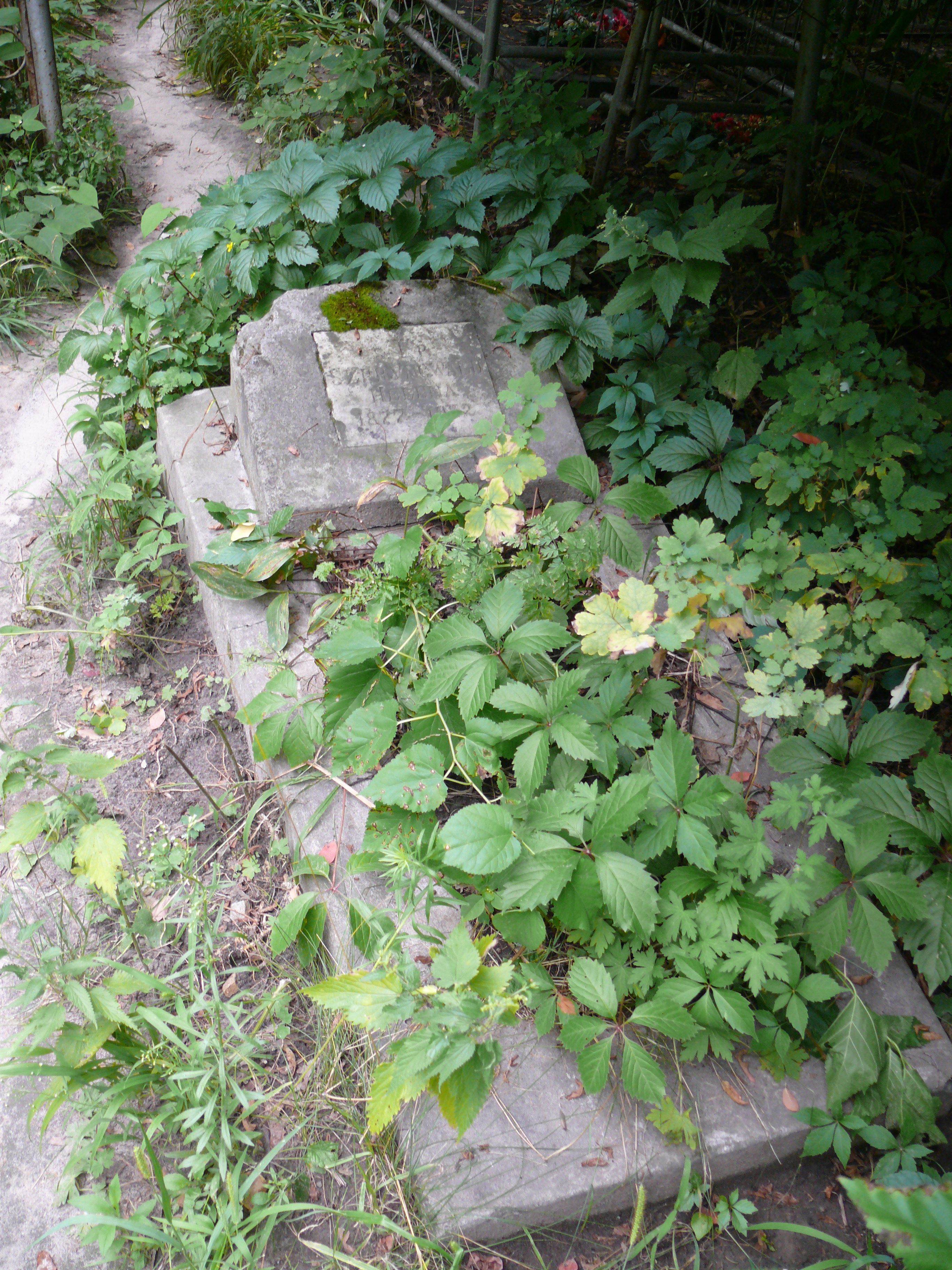 Tombstone of Helena Szpryncwald