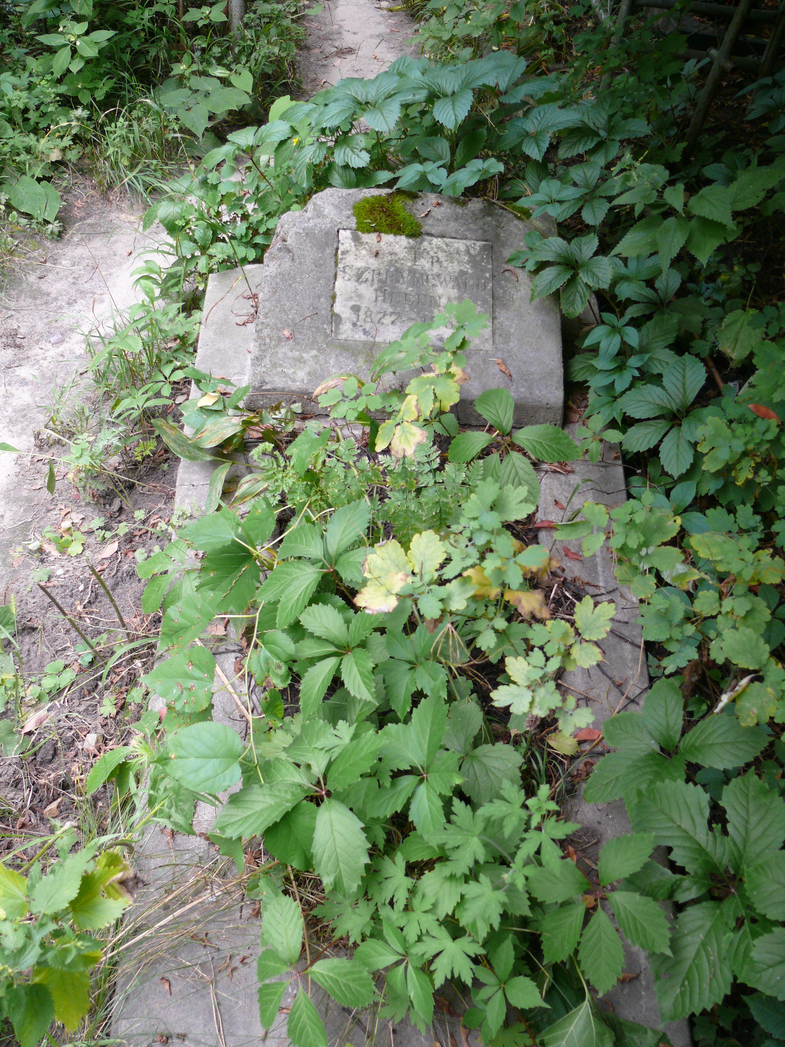 Tombstone of Helena Szpryncwald