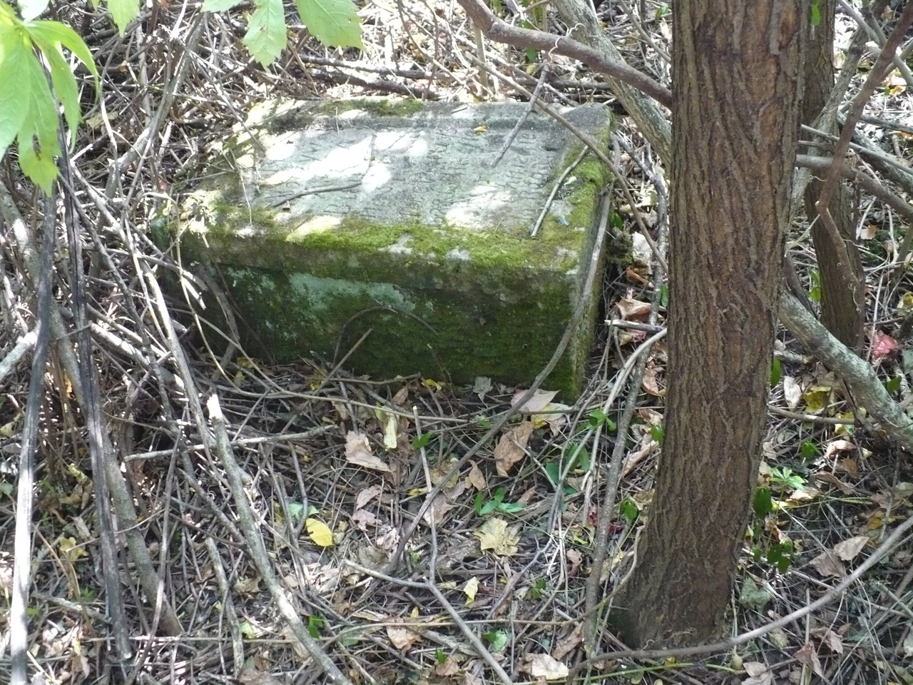 Tombstone of Anna Biau[...]cza, Czerwonogrod (Nyrkiv) cemetery, state from 2005