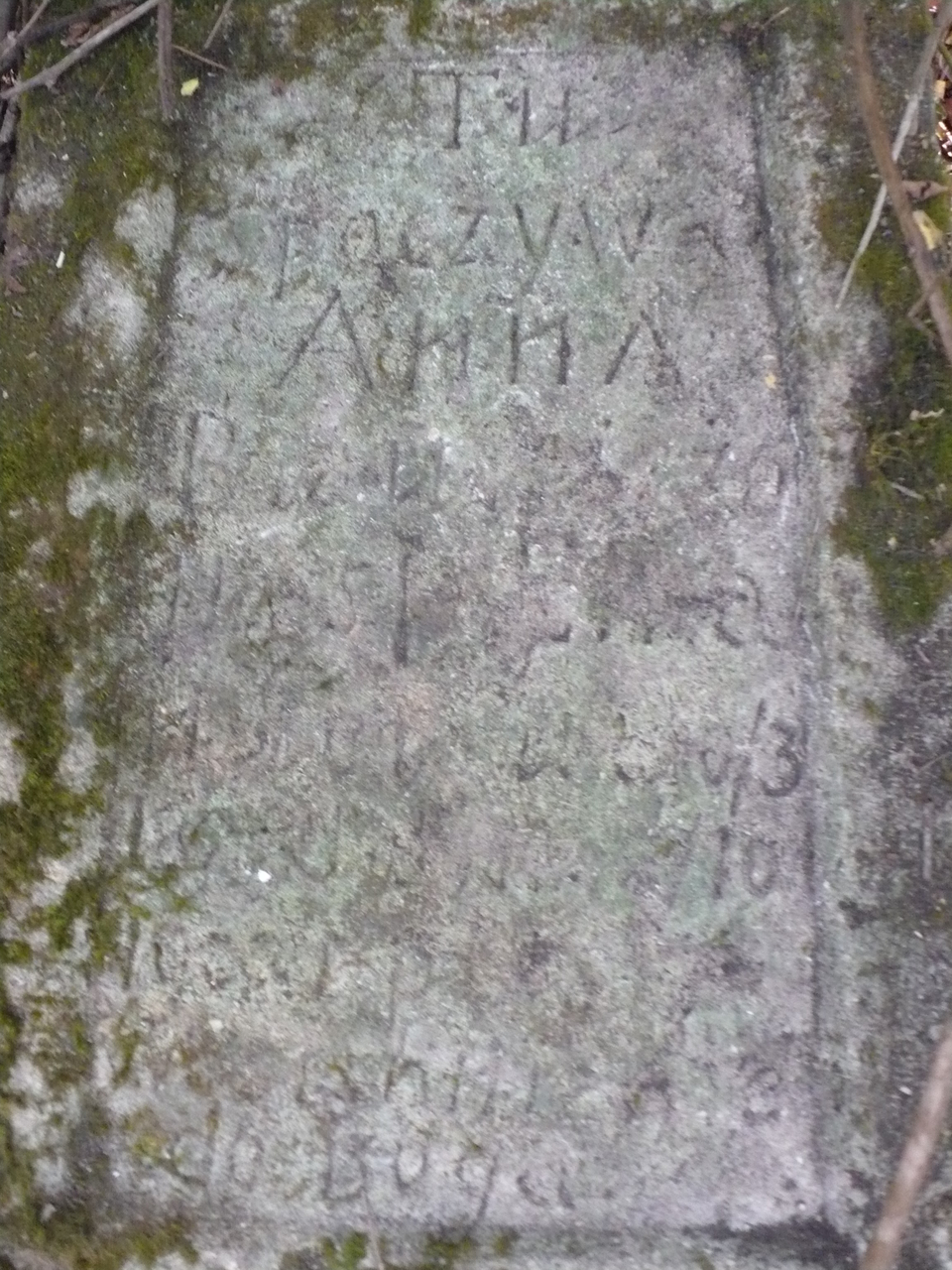Tombstone of Anna Biau[...]cza, Czerwonogrod (Nyrkiv) cemetery, state from 2005
