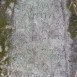 Fotografia przedstawiająca Tombstone of Anna Biau[...]cza