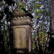 Photo showing Eugenia Piórecka\'s gravestone