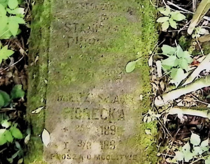 Nagrobek Mieczysławy i Stanisława Pióreckich. Kamień pokryty mchem z wyrytymi inskrypcjami. Otaczająca roślinność częściowo zakrywa krawędzie.