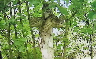 Nagrobek z krzyżem przypominającym pień drzewa, otoczony gęstym listowiem. Przez ramiona krzyża przewieszona rzeźbiona wstęga, powyżej titulus.