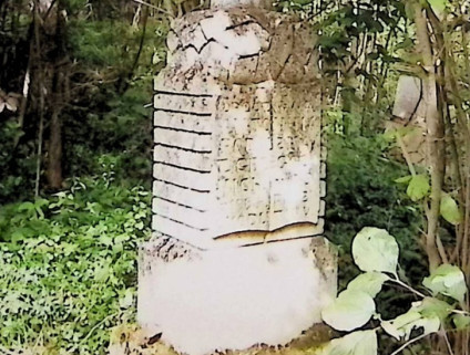 Nagrobek Antoniny Podolskiej z krzyżem przypominającym pień drzewa na trójstopniowej podstawie. Krzyż zdobiony liśćmi i owocami winorośli. Z przodu inskrypcja na otwartej księdze.