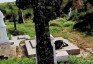 Photo showing Tombstone of Franciszek and Maria Rajowski