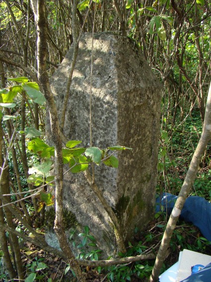Nagrobek Michała Grabowieckiego, cmentarz w Czerwonogrodzie, stan z roku 2005