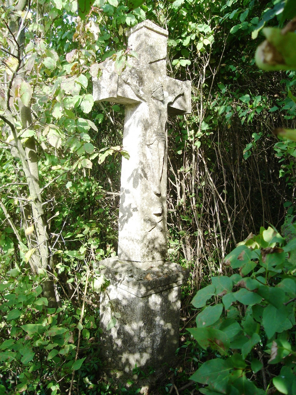 Nagrobek Władysława Grabowieckiego, cmentarz w Czerwonogrodzie, stan z roku 2005