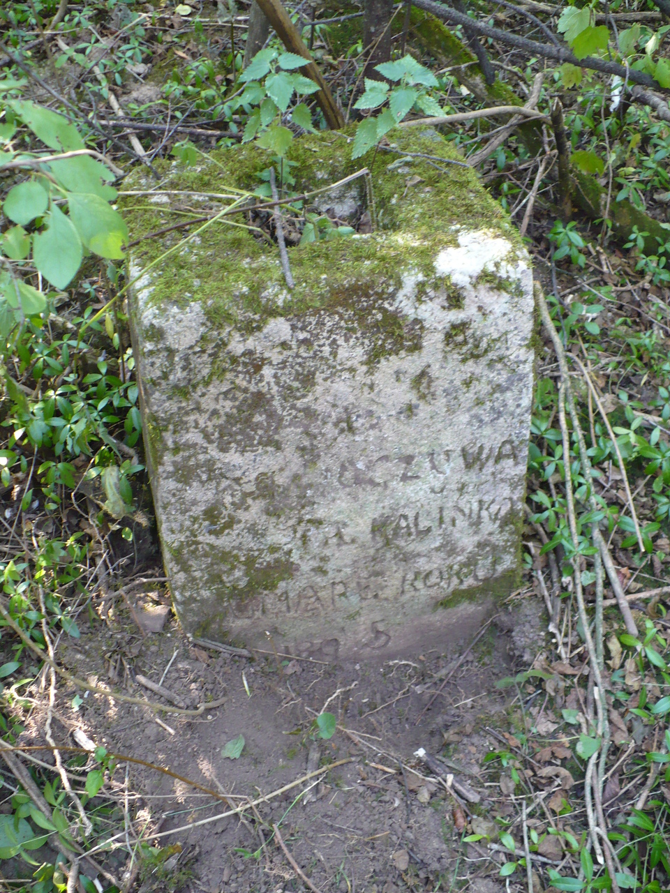 Tombstone of Michał Kalinka, Czerwonogród (Nyrkiv) cemetery, state from 2005