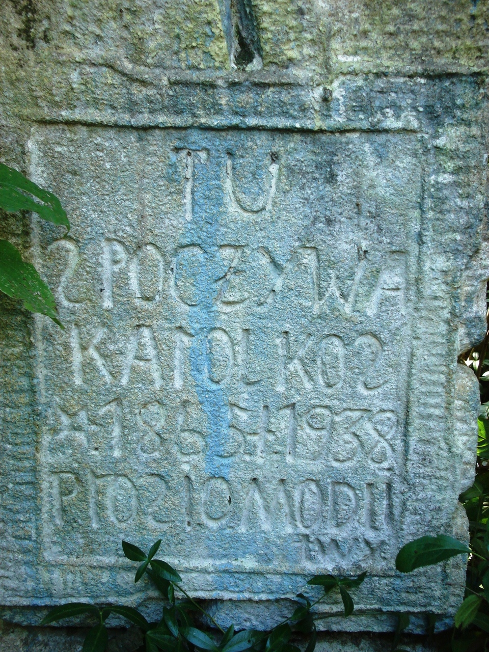 Nagrobek Karola Kosa, cmentarz w Czerwonogrodzie, stan z roku 2005