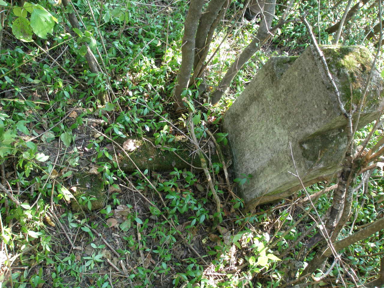 Nagrobek Jakuba Lipińskiego, cmentarz w Czerwonogrodzie, stan z roku 2005