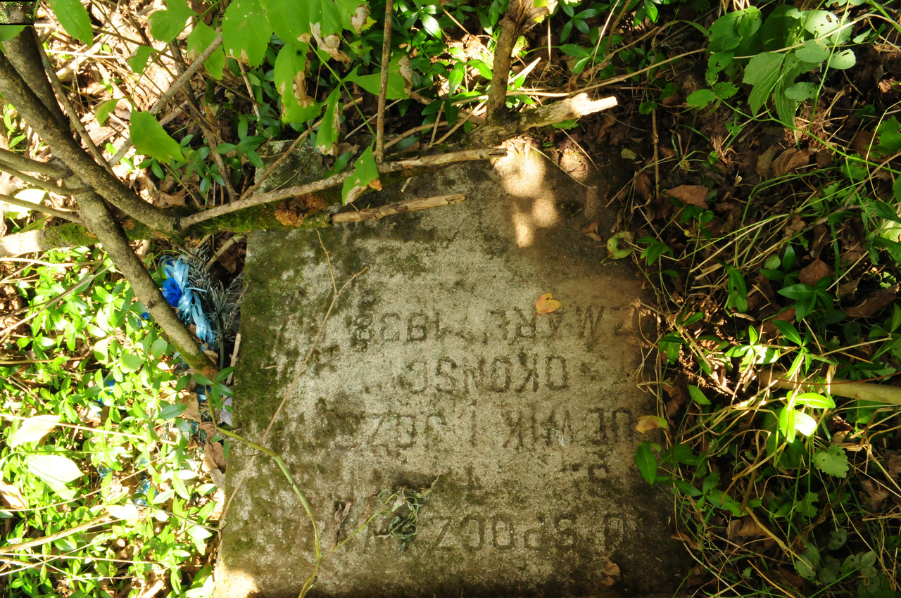 Nagrobek Józefa i Ludwika Okońskich, cmentarz w Czerwonogrodzie, stan z roku 2005