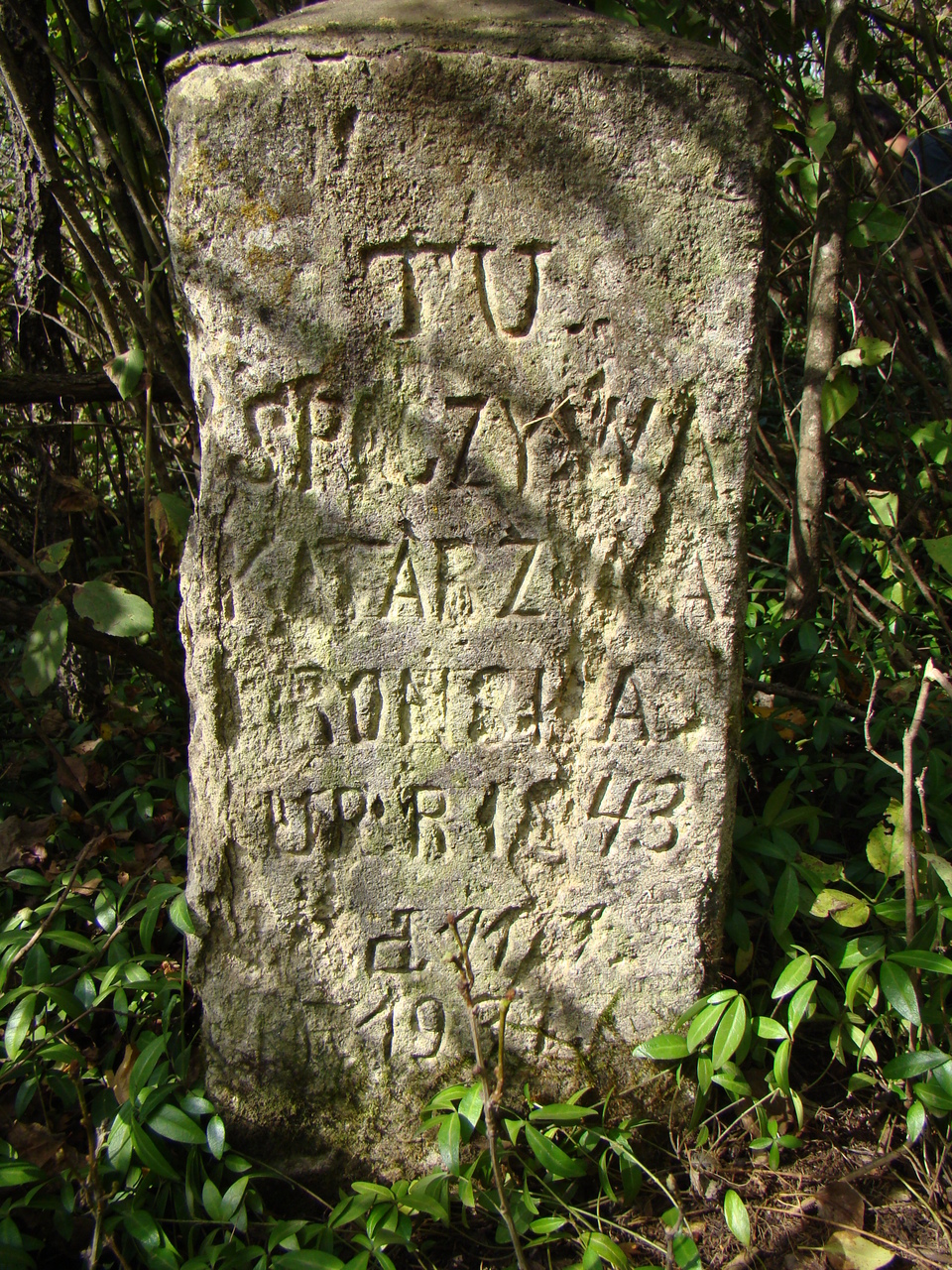 Tombstone of Katarzyna Orońska, Czerwonogród cemetery, state from 2005