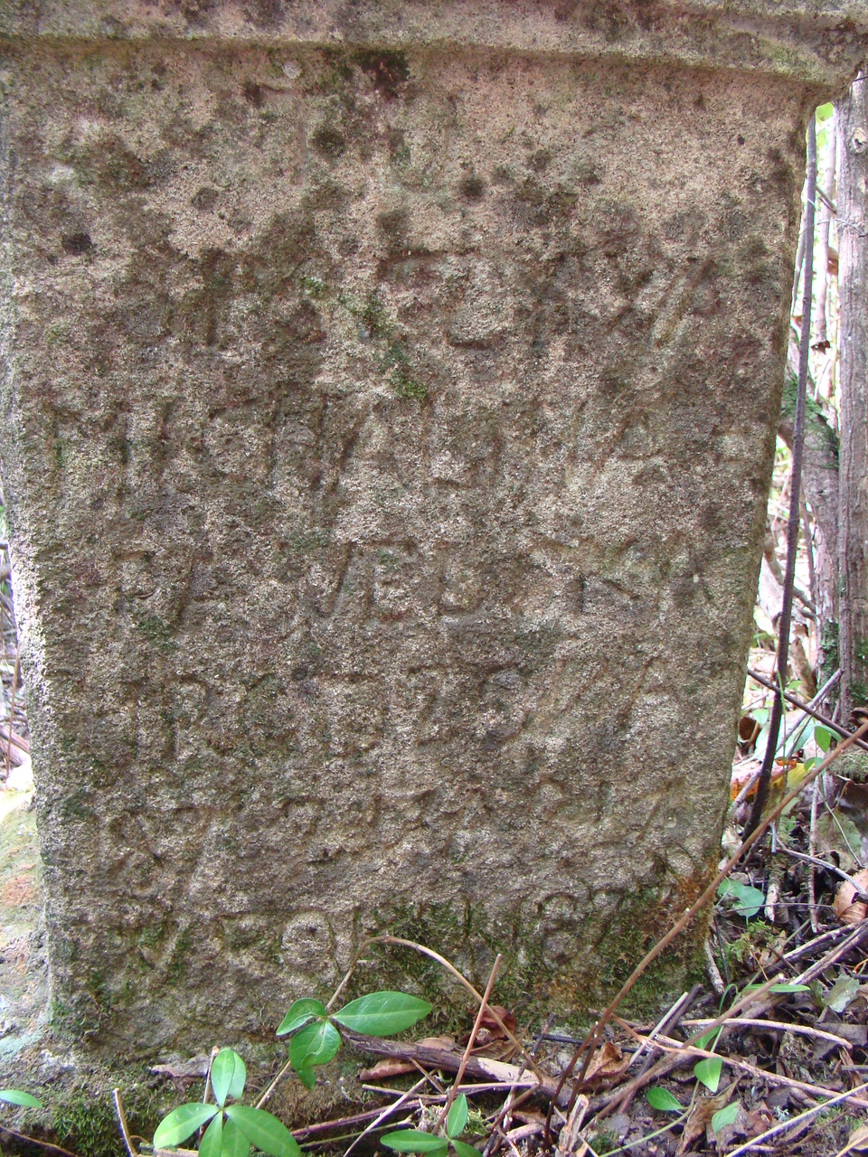 Tombstone of Michalina Pawelska, Czerwonogrod cemetery, state from 2005