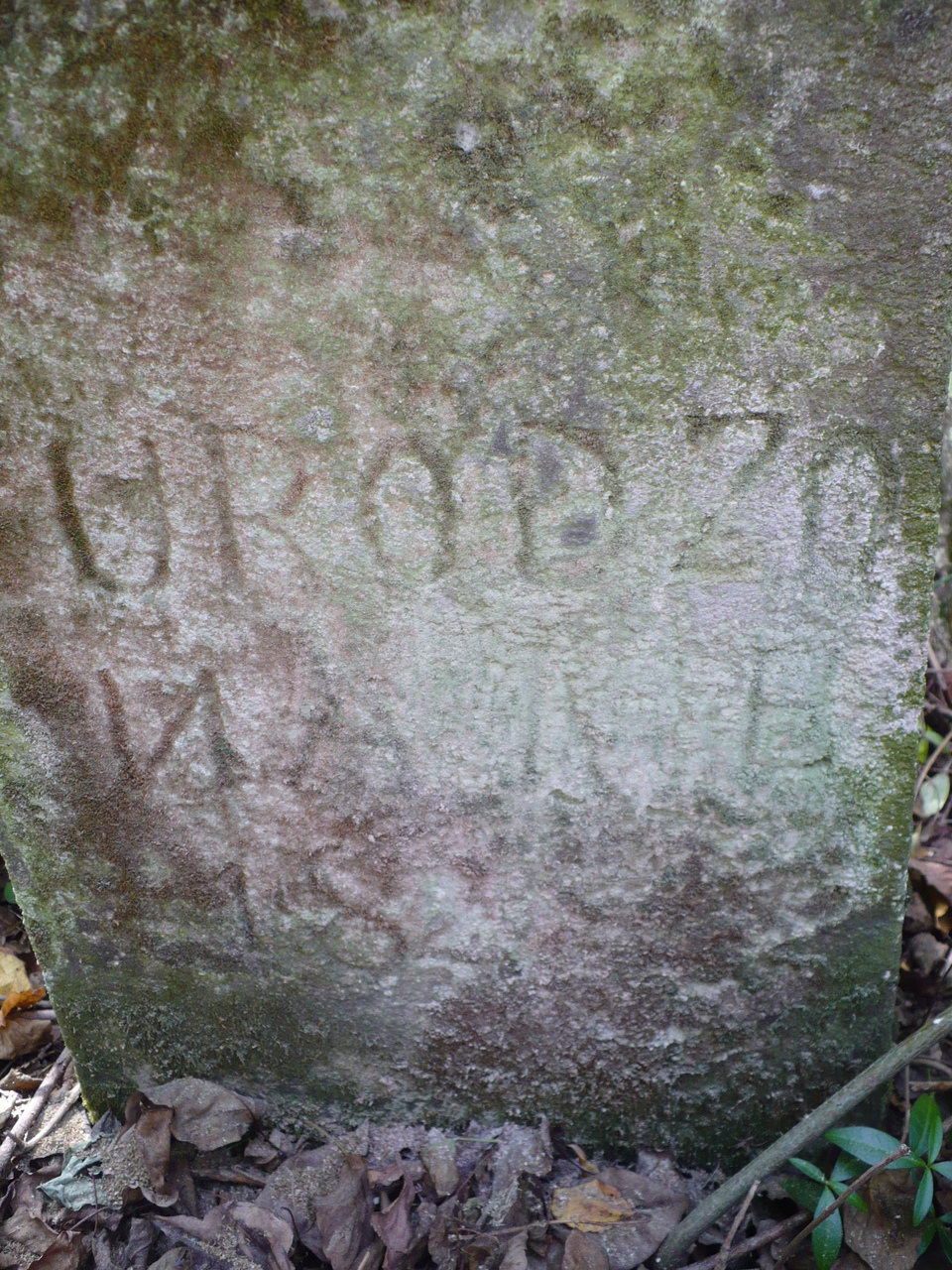 Tombstone of Marianna Ruczkowska, Czerwonogrod (Nyrkiv) cemetery, state from 2005
