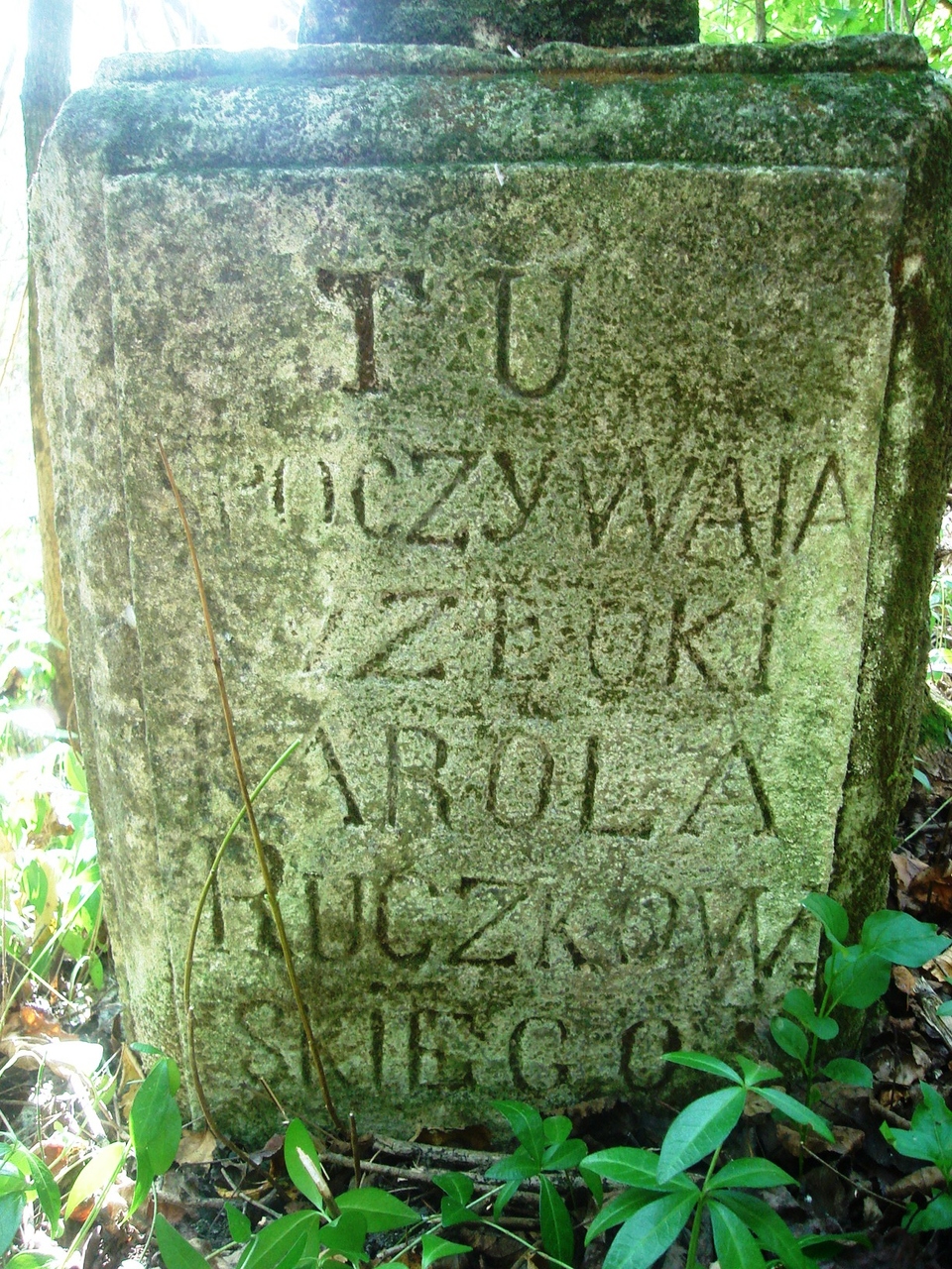 Nagrobek Karola Ruczkowskiego, cmentarz w Czerwonogrodzie, stan z roku 2005