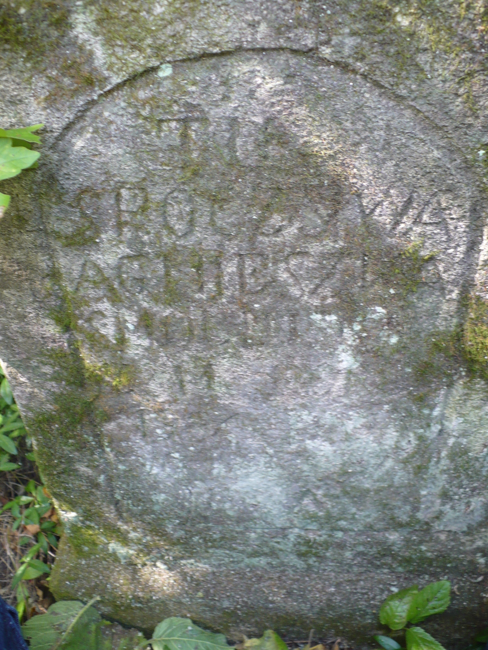 Tombstone of Agnieszka Smolinska, Czerwonogrod (Nyrkiv) cemetery, state from 2005