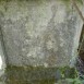 Photo montrant Tombstone of Leopold and Lew Chodziński, Eugenia [...], Malwina [...].