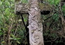 Photo showing Tombstone of Anastasia and Wincenty Seifert