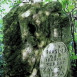 Photo showing Tombstone of Bronislava and Hieronim Seifert