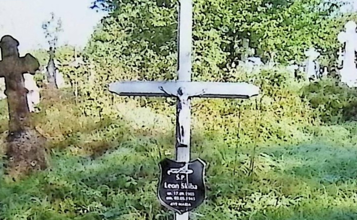 Photo showing Gravestone of Leon Skiba