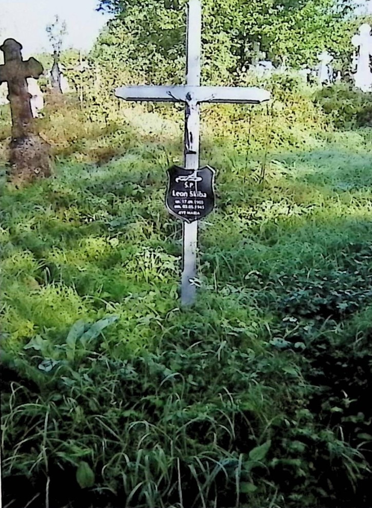 Photo showing Gravestone of Leon Skiba