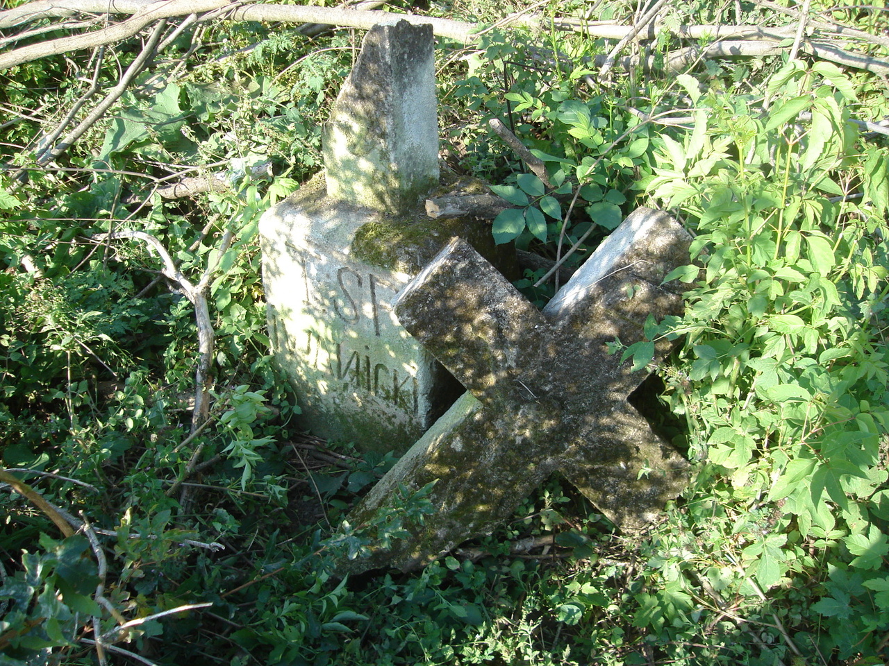 Nagrobek […] Iwanickiego, cmentarz w Tłustym, stan z roku 2008