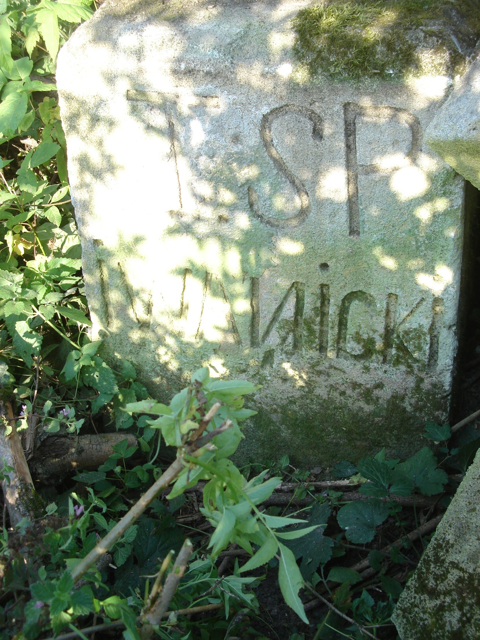 Tombstone of [...] Iwanicki, cemetery in Tłustý, state from 2008