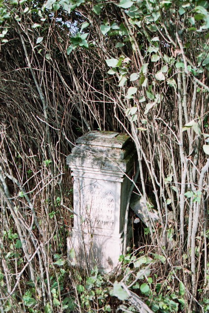 Nagrobek rodziny Szumlakowskich