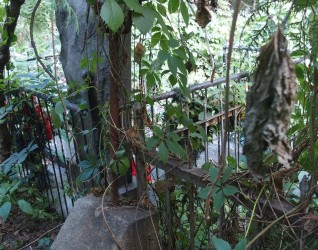 Nagrobek Tekli Raczkowskiej