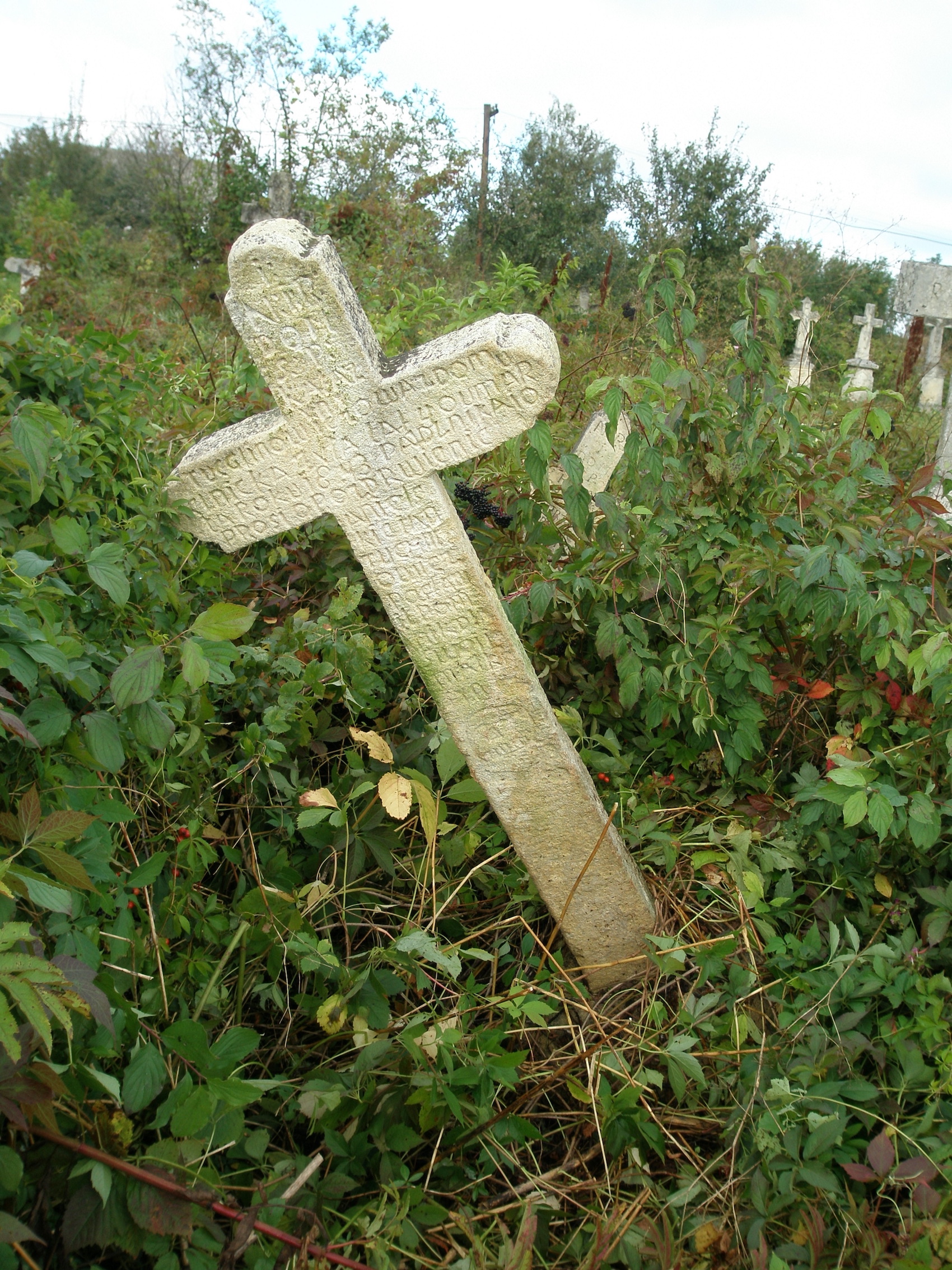 Tombstone of Katarzyna Tuchinowicz, née Selenicka, Jazłowiec cemetery, as of 2006.
