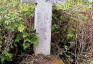 Fotografia przedstawiająca Tombstone of Zofia Urbańska