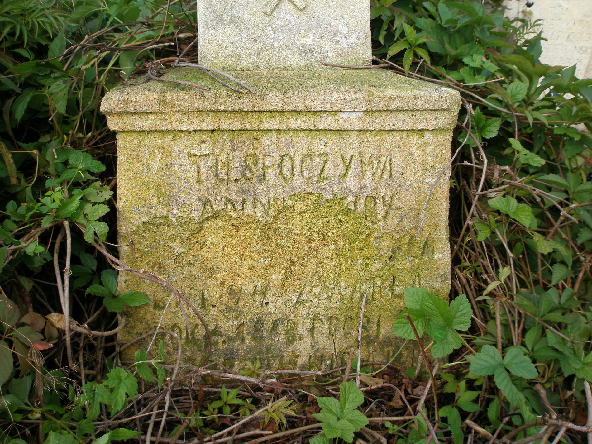 Fragment of the gravestone of Aniela N.N., Jazłowiec cemetery, as of 2006.