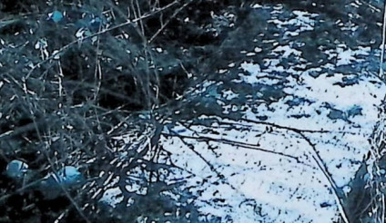 Nagrobek Barbary Wolańskiej z wyrytą inskrypcją, częściowo pokryty śniegiem i otoczony nagimi gałęziami.