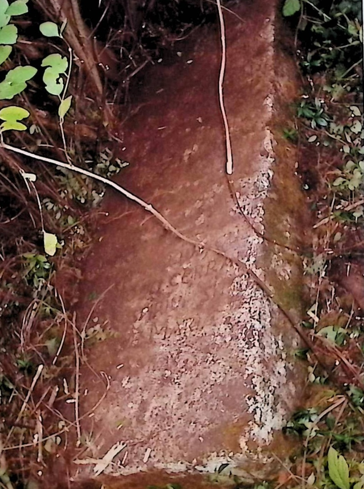 Fotografia przedstawiająca Tombstone of Antoni Wolański