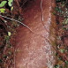 Fotografia przedstawiająca Tombstone of Antoni Wolański