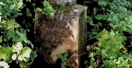 Nagrobek Jakuba Zatorskiego z krzyżem na dwustopniowym cokole otoczony zielenią. Krzyż szerszy u dołu z mniejszym krzyżem wyrytym na przecięciu ramion. Z przodu wyryta inskrypcja.