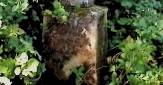 Nagrobek Jakuba Zatorskiego z krzyżem na dwustopniowym cokole otoczony zielenią. Krzyż szerszy u dołu z mniejszym krzyżem wyrytym na przecięciu ramion. Z przodu wyryta inskrypcja.