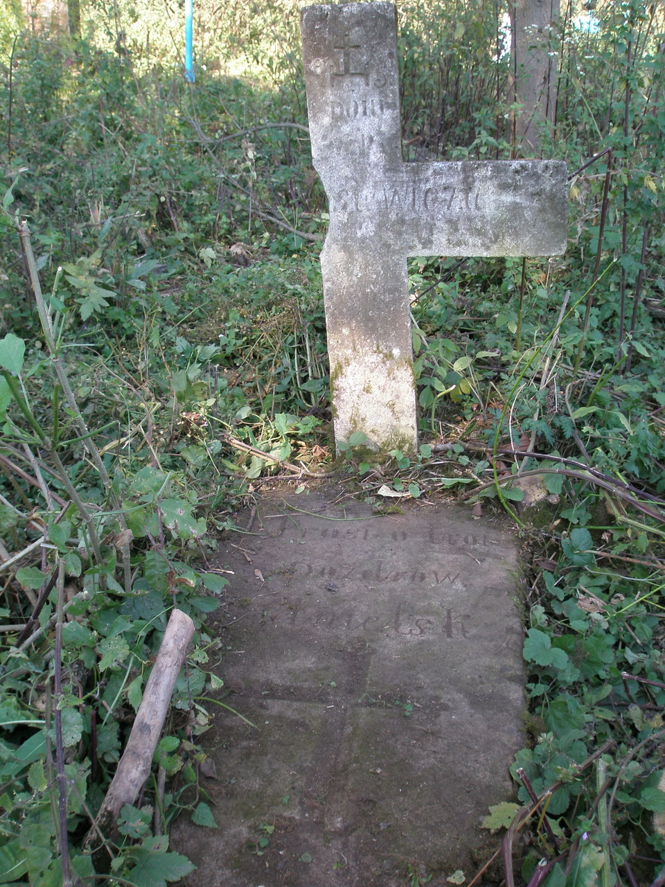 Nagrobek  […] […]siewicza, cmentarz w Tłustym, stan z roku 2008