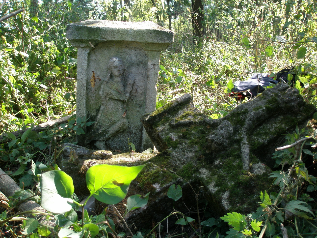 Nagrobek Anny […], cmentarz w Tłustym, stan z roku 2008