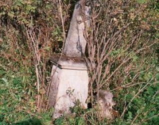 Nagrobek N.N., cmentarz w Tłustym, stan z 2005