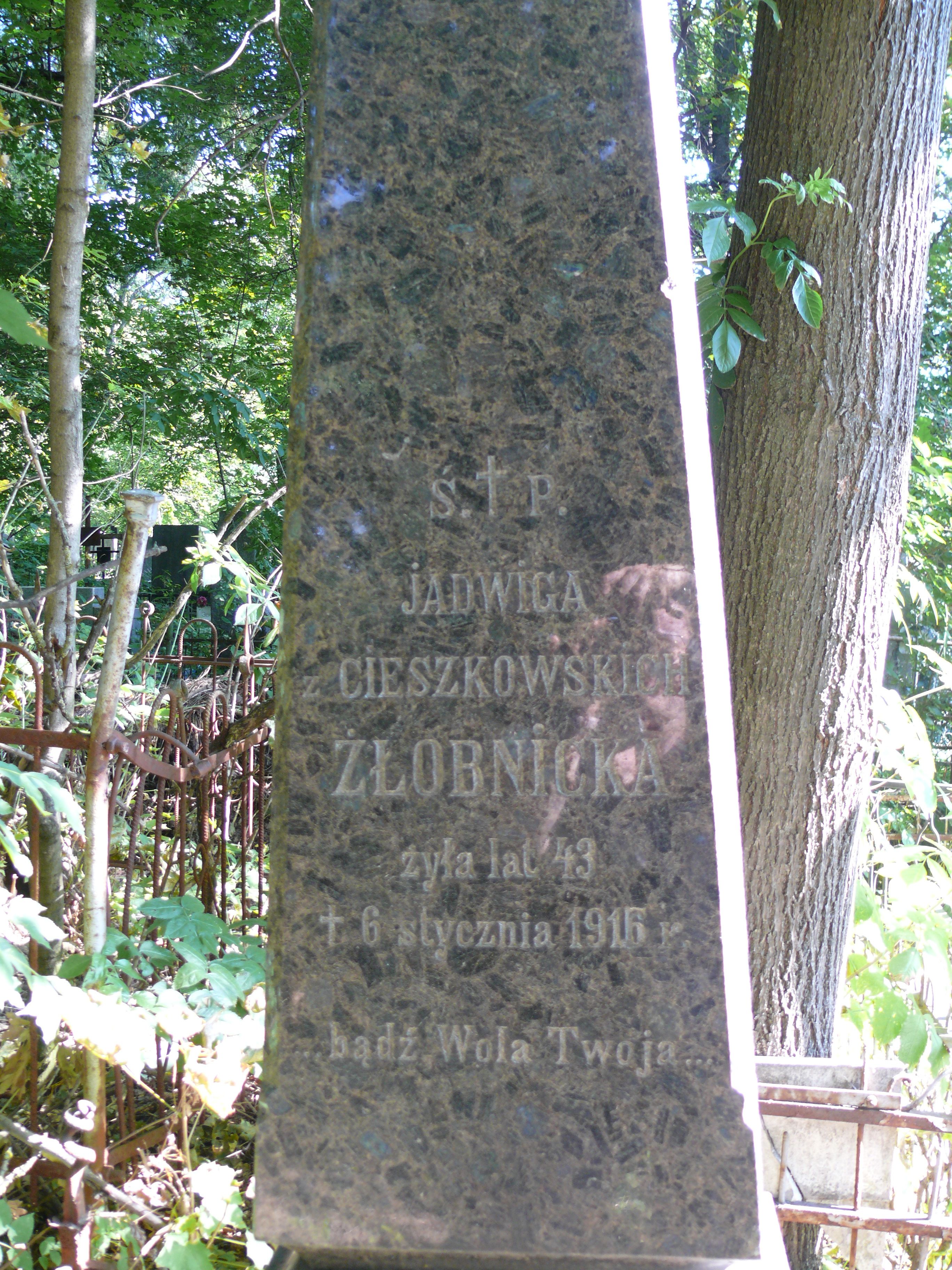 Tombstone of Jadwiga Żłobnicka