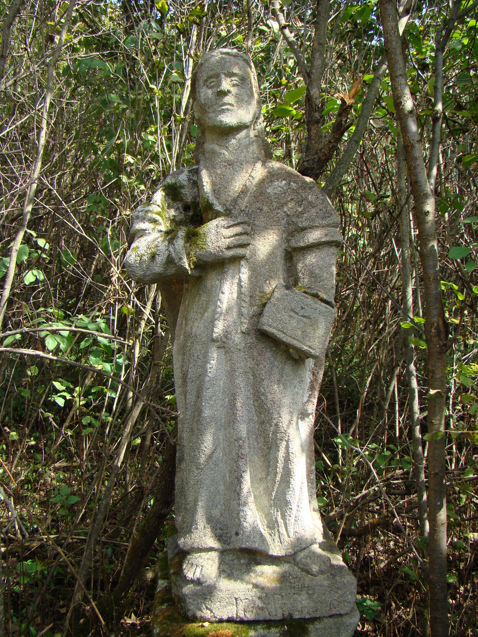 Tombstone of Karol Woyciechowski, Czerwonogród cemetery, state from 2005