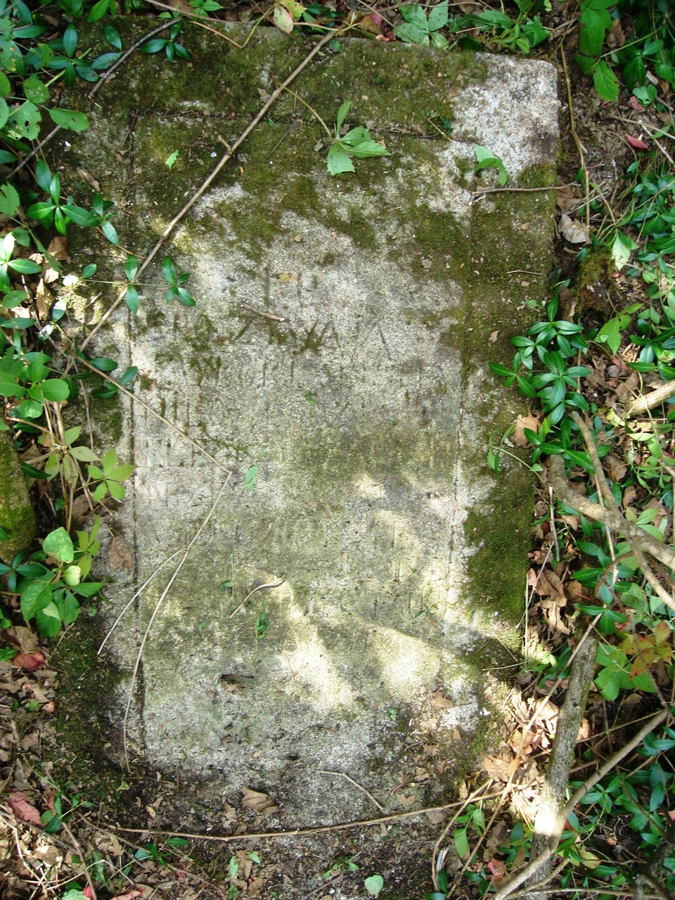 Tombstone of Eleonora Zaleska, Czerwonogroda cemetery, state from 2005