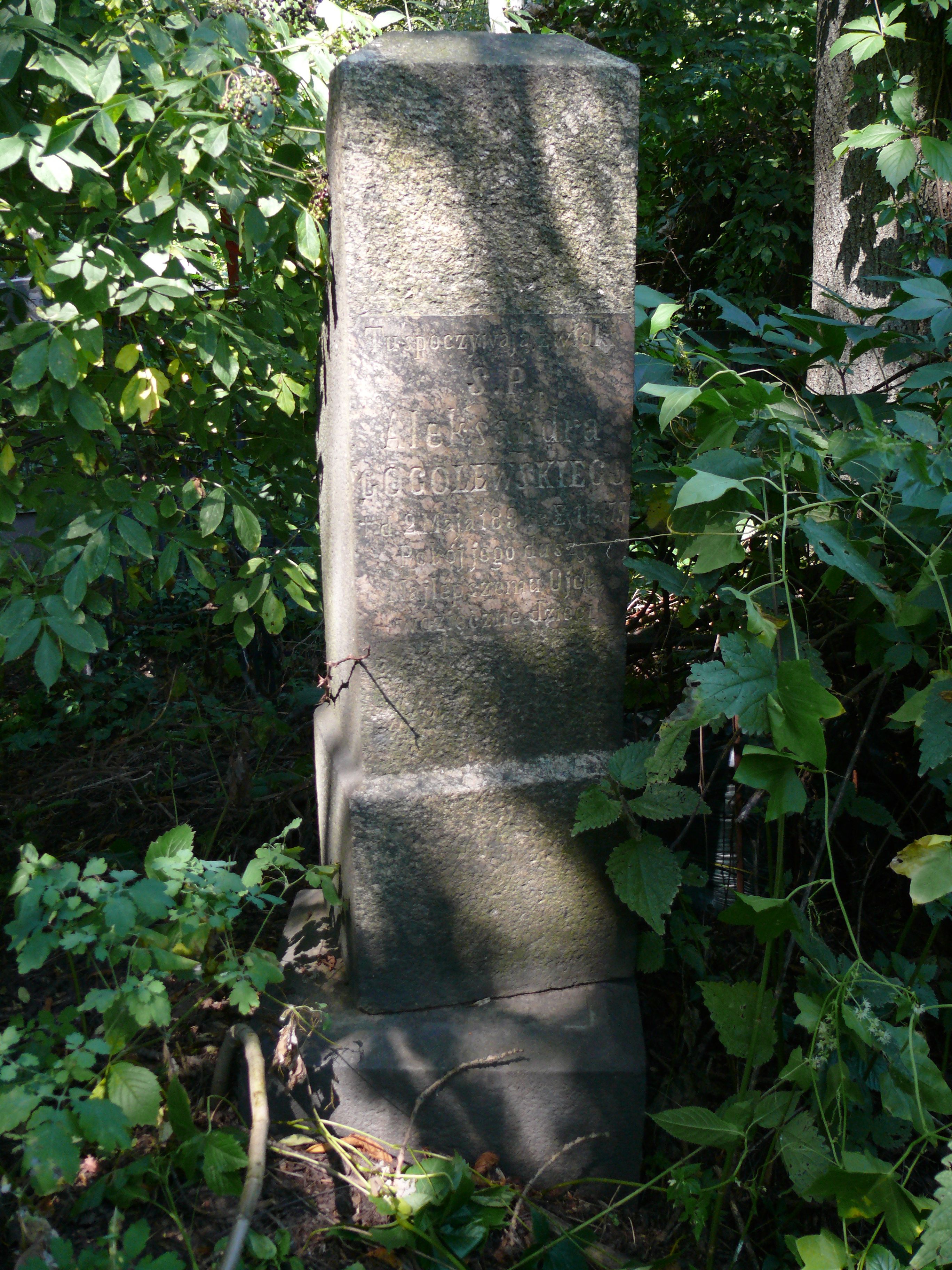 Tombstone of Aleksander Gogolewski