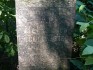 Photo montrant Tombstone of Aleksander Gogolewski