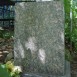 Fotografia przedstawiająca Tombstone of Aleksander Berezowski